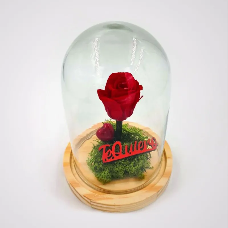 Rosa eterna preservada en cúpula de cristal de Telde Flor, opción de recuerdo para novias en Las Palmas